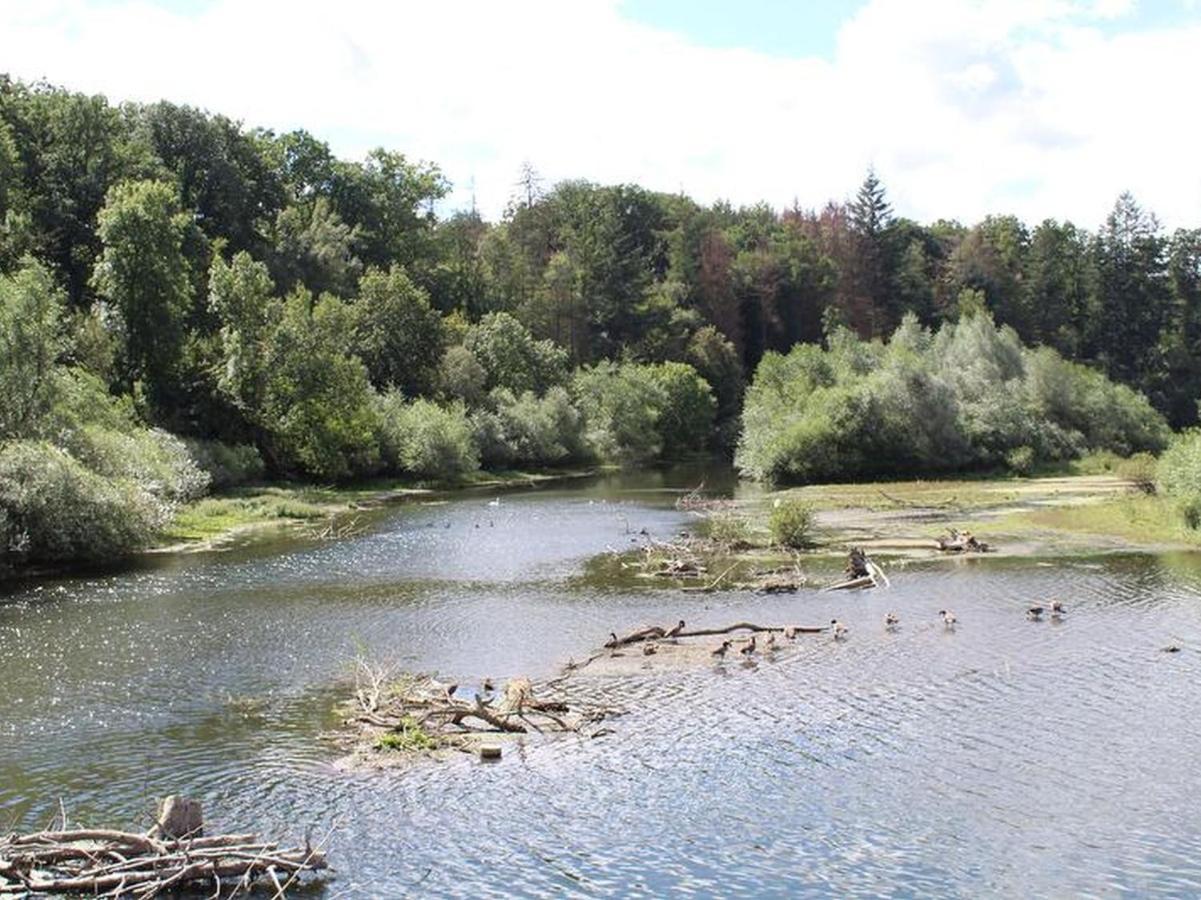 Ferienwohnungen Am Seeufer Moehnesee Ngoại thất bức ảnh